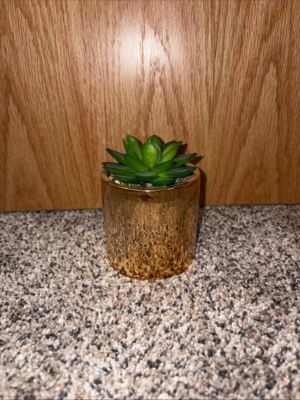 Target Gold Planter with Green Faux Succulent